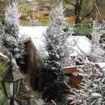 img-0020.jpg