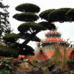 img-0053.jpg