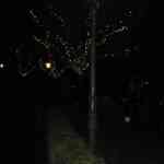 img-0092.jpg