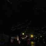 img-0100.jpg