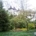 s5030195.jpg