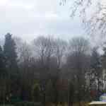 s5030216.jpg