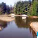 img-0063.jpg