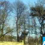 img-0159.jpg