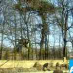 img-0160.jpg