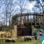 img-0161.jpg