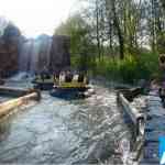 img-0242.jpg