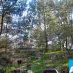 img-0255.jpg