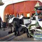 img-3224.jpg