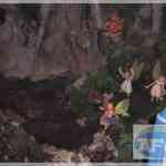 img-3276.jpg