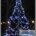 img-3397.jpg
