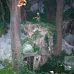 img-5201.jpg