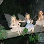 img-5202.jpg