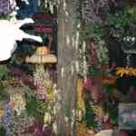 img-5204.jpg