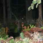 img-5214.jpg