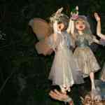 img-5215.jpg