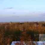 img-5220.jpg