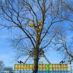 img-8644.jpg