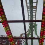 img-1435.jpg