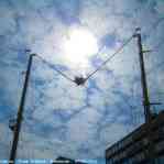 img-2633.jpg