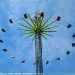 img-2664.jpg