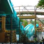 img-8613.jpg