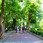 img-8682.jpg