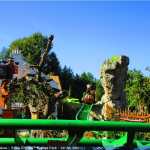 img-8718.jpg