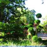 img-8747.jpg