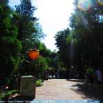img-8748.jpg