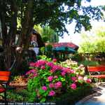img-8749.jpg