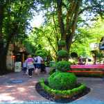 img-8750.jpg