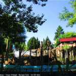 img-8761.jpg