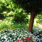 img-8766.jpg