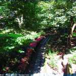 img-8767.jpg