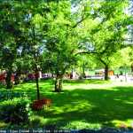 img-8769.jpg