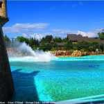 img-8780.jpg