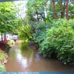 img-8859.jpg