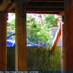 img-8866.jpg
