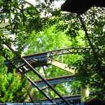 img-8867.jpg