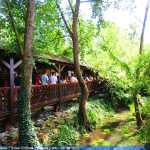 img-8872.jpg