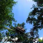 img-8875.jpg