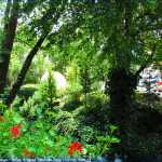 img-8879.jpg