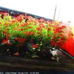 img-8880.jpg