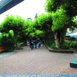img-8938.jpg