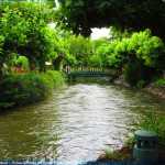 img-8939.jpg