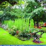 img-8940.jpg