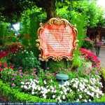 img-8942.jpg