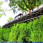 img-8958.jpg