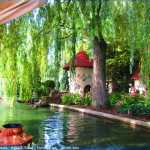 img-8975.jpg
